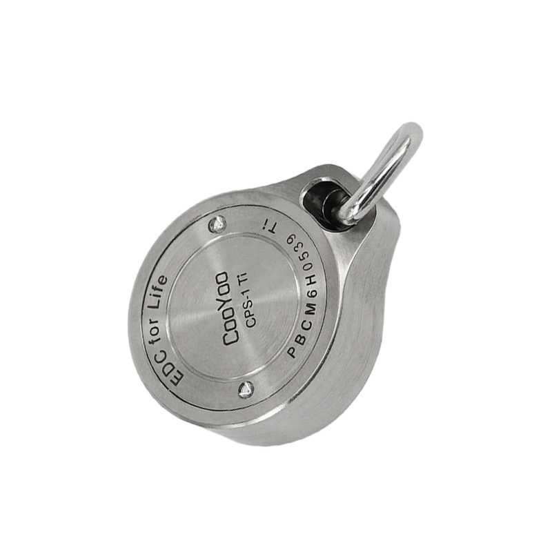 Colgante de brújula impermeabl - Compass Keychain Mini reseña y precio